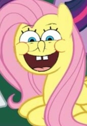 Size: 717x1045 | Tagged: safe, edit, fluttershy, pegasus, pony, cursed image, not salmon, spongebob squarepants, wat, why