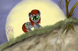 Size: 4409x2893 | Tagged: safe, artist:joycat, oc, pegasus, pony, female, flower, high res, mare, moon, solo