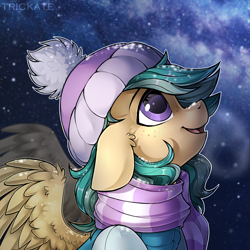 Size: 3000x3000 | Tagged: safe, artist:trickate, oc, oc only, oc:summer ray, pegasus, pony, beanie, clothes, hat, looking up, night, scarf, smiling, snow, solo, starry night, stars, winter