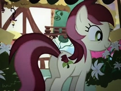 Size: 4032x3024 | Tagged: safe, derpibooru import, screencap, roseluck, a friend in deed, plot, solo