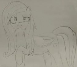 Size: 1100x960 | Tagged: artist needed, safe, fluttershy, pegasus, pony, /mlp/, confused, female, looking at you, mare, monochrome, raised hoof, simple background, sketch, solo, traditional art