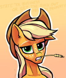 Size: 855x1000 | Tagged: safe, artist:hc0, derpibooru import, applejack, earth pony, pony, applejack is not amused, freckles, frown, hay stalk, looking at you, make it quick, quick sketch, serious, serious face, solo, talking to viewer, text, unamused