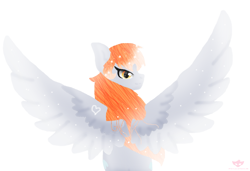 Size: 1094x750 | Tagged: safe, artist:xgalacticxstudios18x, oc, pegasus, pony, solo