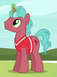 Size: 535x710 | Tagged: safe, screencap, pony, unicorn, buckball season, background pony, clothes, crimson heart, cropped, magic, magic aura, male, smiling, solo, stallion, tanktop