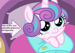 Size: 1008x720 | Tagged: safe, derpibooru import, edit, edited screencap, part of a set, screencap, princess flurry heart, the times they are a changeling, arrow, baby blanket, captain obvious, cropped, cute, flurrybetes, text