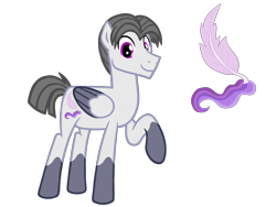 Size: 4500x3375 | Tagged: safe, artist:avatarmicheru, oc, oc:plume, pegasus, pony, base used, male, raised hoof, simple background, solo, stallion, transparent background, two toned wings, wings