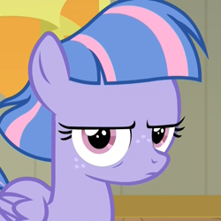 Size: 1078x1078 | Tagged: safe, screencap, wind sprint, pegasus, pony, common ground, annoyed, cropped, disapproval, female, filly, foal, frown, glare, lidded eyes, looking at you, reaction image, solo, wind sprint is not amused