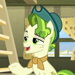 Size: 538x540 | Tagged: safe, derpibooru import, screencap, pistachio, earth pony, pony, best gift ever, cropped, hat, male, solo, teenager
