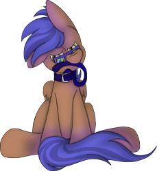 Size: 3661x4000 | Tagged: artist needed, source needed, safe, oc, oc only, oc:odyssey flash, pegasus, pony, collar, glasses, leash, mouth hold, pet, pet play