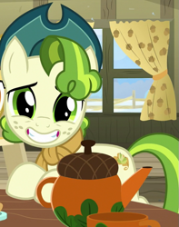 Size: 535x680 | Tagged: safe, derpibooru import, screencap, pistachio, pony, best gift ever, cropped, looking at you, male, pistachiaww, smiling, solo, teenager