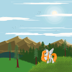 Size: 1920x1920 | Tagged: source needed, safe, artist:agdistis, oc, oc only, oc:ginger peach, pegasus, /mlp/, drawthread, grass, green eyes, orange hair, pegasus oc, solo, sun