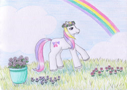 Size: 1024x727 | Tagged: safe, artist:normaleeinsane, derpibooru import, g2, dainty dove (g2), flower, grass, rainbow, solo, traditional art