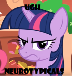 Size: 397x418 | Tagged: safe, twilight sparkle, autistic twilight, caption, image macro, shitposting, text, ugh