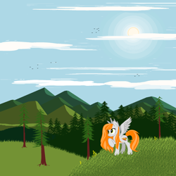 Size: 1920x1920 | Tagged: safe, artist:agdistis, oc, oc only, oc:ginger peach, pegasus, /mlp/, drawthread, grass, green eyes, orange hair, pegasus oc, solo, sun