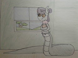 Size: 2576x1932 | Tagged: safe, artist:stemthebug, oc, oc:sleepi night, hybrid, original species, snake, snake pony, book, clothes, female, glasses, photo, scarf, traditional art