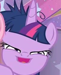 Size: 538x655 | Tagged: safe, screencap, twilight sparkle, twilight sparkle (alicorn), alicorn, pony, a trivial pursuit, cropped, faic