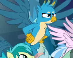Size: 718x574 | Tagged: safe, derpibooru import, screencap, gallus, ocellus, sandbar, silverstream, yona, griffon, school raze, angry, chest fluff, cropped, male, offscreen character, paws, solo focus, spread wings, teenager, wings