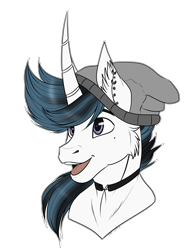 Size: 3541x4765 | Tagged: safe, artist:caff, oc, oc only, head shot, male, simple background, solo, stallion, transparent background