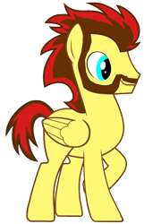 Size: 962x1491 | Tagged: safe, artist:sky chaser, oc, oc:sky chaser, pegasus, pony, beard, facial hair, male, show accurate, smiling, solo, stallion, vector