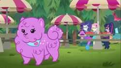 Size: 1366x768 | Tagged: safe, screencap, fluttershy, princess thunder guts, rarity, sci-twi, spike, spike the regular dog, twilight sparkle, dog, better together, choose your own ending, equestria girls, lost and pound, lost and pound: spike, cute, female, geode of fauna, geode of telekinesis, magical geodes, male, puppy, spike's festival hat