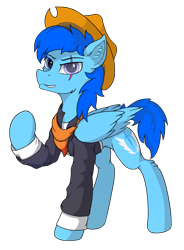 Size: 1822x2480 | Tagged: safe, artist:kargle, oc, oc only, oc:kargle magnus, pegasus, pony, 2020 community collab, clothes, cowboy hat, derpibooru community collaboration, eye scar, hat, looking at you, male, scar, simple background, solo, transparent background