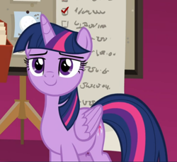 Size: 640x584 | Tagged: safe, screencap, twilight sparkle, twilight sparkle (alicorn), alicorn, pony, the summer sun setback, confident, cropped, lidded eyes, smiling, solo