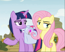 Size: 951x761 | Tagged: safe, screencap, fluttershy, twilight sparkle, twilight sparkle (alicorn), alicorn, pegasus, pony, growing up is hard to do, bag, cropped, duo, female, flower, fluttershy is not amused, mare, saddle bag, shrug, twilight is not amused, unamused, wishing flower