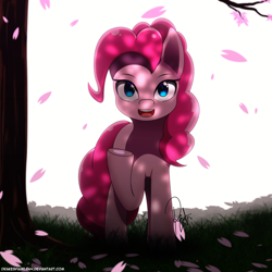 Size: 1500x1500 | Tagged: safe, artist:drakesparkle44, pinkie pie, earth pony, pony, cherry blossoms, cute, dappled sunlight, diapinkes, female, flower, flower blossom, looking at you, mare, open mouth, raised hoof, sakura pie, solo, tree