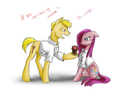 Size: 1280x901 | Tagged: safe, artist:28gooddays, pinkie pie, pony, clothes, cyrillic, gordon ramsay, pinkamena diane pie, ponified, russian, shirt, translated in the description