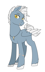 Size: 580x920 | Tagged: safe, artist:astriax, derpibooru import, oc, oc:gale force, pegasus, pony, scar, simple background, solo, transparent background