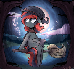 Size: 1024x955 | Tagged: safe, artist:urbanqhoul, derpibooru import, oc, oc only, oc:kenzie, earth pony, pony, broom, cape, clothes, flying, flying broomstick, grass, hat, moon, night, signature, sitting, solo, water, witch