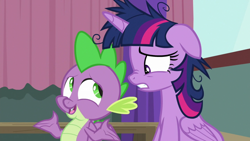 Size: 1920x1080 | Tagged: safe, screencap, spike, twilight sparkle, twilight sparkle (alicorn), alicorn, dragon, a trivial pursuit, messy mane, winged spike