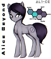 Size: 1387x1609 | Tagged: safe, artist:al1-ce, derpibooru exclusive, oc, oc:al1-ce, pony, reference, simple background, solo, text, white background