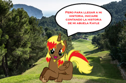 Size: 1114x741 | Tagged: safe, oc, alicorn, pegasus, pony, irl, photo, ponies in real life, spanish