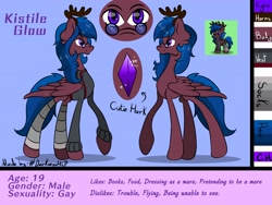 Size: 2800x2100 | Tagged: safe, artist:#darknessmlp, oc, oc:kistile glow, pegasus, pony, femboy, male, reference sheet