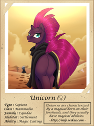 Size: 1000x1333 | Tagged: safe, artist:vavacung, derpibooru import, grubber, tempest shadow, unicorn, series:fantastic creatures of equestria, my little pony: the movie, broken horn, cloak, clothes, dock, female, horn, photo, picture, plot, raised tail, tail, tempass