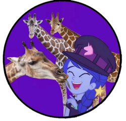 Size: 2048x1966 | Tagged: safe, derpibooru import, space camp (character), giraffe, better together, equestria girls