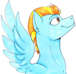 Size: 1600x1559 | Tagged: safe, artist:bennythebunny95, lightning dust, pegasus, pony, bust, solo, spread wings, wings