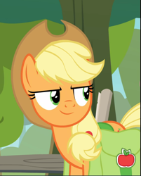 Size: 703x876 | Tagged: safe, derpibooru import, screencap, applejack, earth pony, pony, going to seed, cropped, saddle bag, smiling, solo