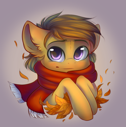 Size: 971x980 | Tagged: safe, artist:falafeljake, derpibooru import, oc, oc only, oc:lionheart, pony, autumn, autumn leaves, blushing, clothes, cute, gradient background, head, leaves, male, scarf, simple background, solo, stallion, ych result