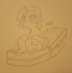 Size: 1821x1836 | Tagged: safe, artist:zajice, oc, oc only, oc:sign, pony, unicorn, cute, female, freckles, horn, mare, monochrome, sitting, solo, suitcase, traditional art