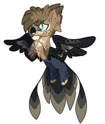 Size: 1373x1623 | Tagged: safe, artist:owl-clockwork, derpibooru import, oc, hippogriff, hybrid, hybrid offspring, offspring, parent:spitfire, parent:unnamed oc, simple background, solo, transparent background