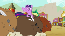 Size: 1440x811 | Tagged: safe, derpibooru import, screencap, twilight sparkle, twilight sparkle (alicorn), alicorn, buffalo, pony, twilight's kingdom, appleloosa, female, mare, ponies riding buffalo, riding, spread wings, stampede, wings