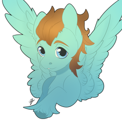 Size: 3186x3258 | Tagged: safe, artist:daniil_gasan, derpibooru import, oc, oc only, oc:luck rock, pegasus, pony, digital art, high res, hoof fluff, male, signature, simple background, smiling, solo, spread wings, stallion, transparent background, wings, ych result