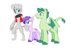 Size: 1276x872 | Tagged: safe, derpibooru exclusive, edit, editor:proto29, oc, oc only, oc:crystal clarity, oc:roxy, oc:turquoise blitz, diamond dog, dracony, dragon, hybrid, adopted offspring, female, interspecies offspring, male, next generation, offspring, parent:rarity, parent:spike, parents:sparity, redesign, simple background, white background, wings