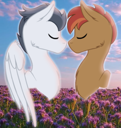 Size: 512x540 | Tagged: safe, artist:adamsadopts, artist:doodleponyxx, button mash, rumble, earth pony, pegasus, pony, base used, boop, eyes closed, field, flower, gay, male, noseboop, older, older button mash, older rumble, rumblemash, shipping, sky, stallion