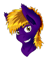 Size: 1054x1259 | Tagged: safe, artist:midnightfire1222, oc, oc only, oc:nova, bat pony, pony, head shot, simple background, solo, transparent background