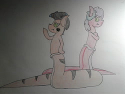 Size: 2576x1932 | Tagged: safe, artist:stemthebug, oc, oc only, oc:radiant wind, oc:torrid wind, hybrid, original species, snake, snake pony, caption, female, image macro, photo, pose, siblings, sisters, text, traditional art