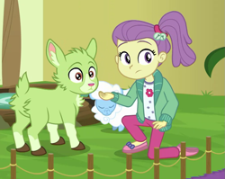 Size: 1037x827 | Tagged: safe, screencap, lily pad (equestria girls), goat, sheep, better together, equestria girls, spring breakdown, cropped, female, tiny ewes