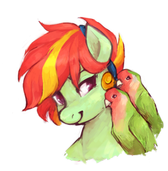 Size: 978x994 | Tagged: safe, artist:johling, oc, oc only, bird, pony, simple background, solo, transparent background